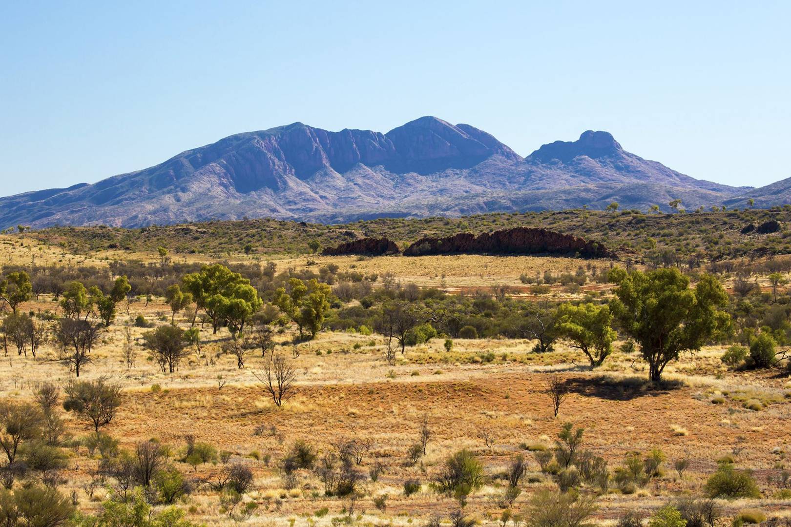 Indigenous Australians are the most ancient civilisation on Earth