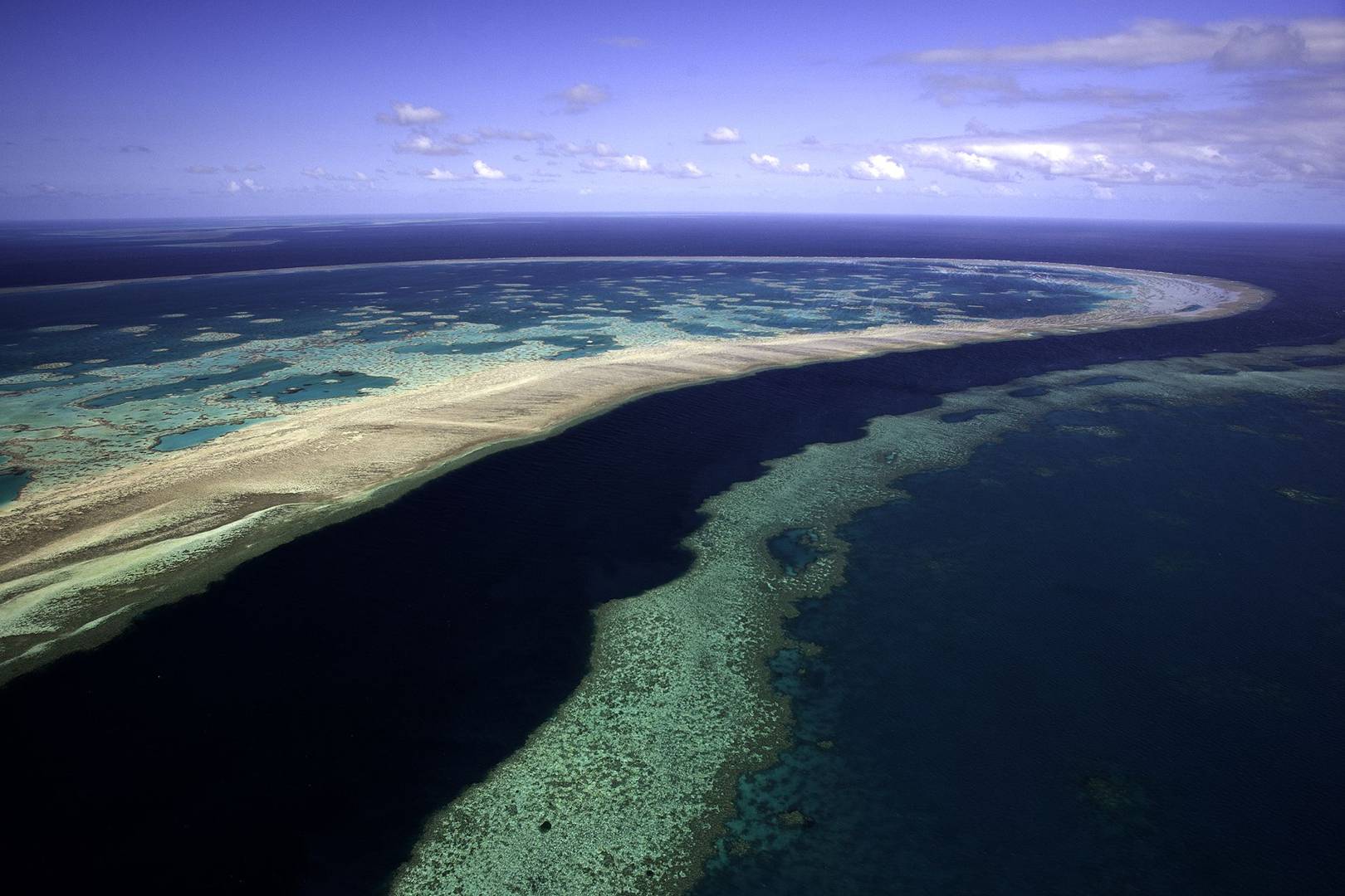 It's going to take billions to save the Great Barrier Reef