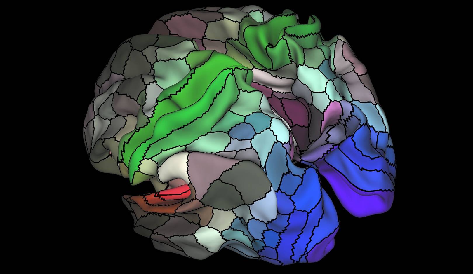 Clearest ever 'map' of the human brain reveals 100 hidden regions