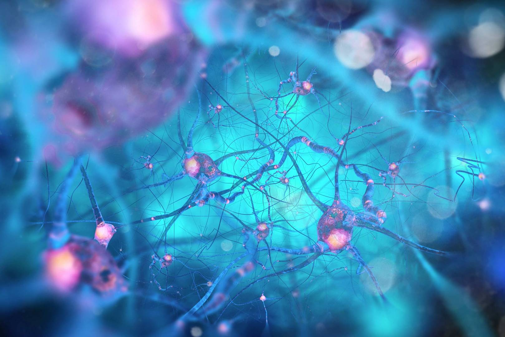 How cognitive will affect every business decision within the next five years