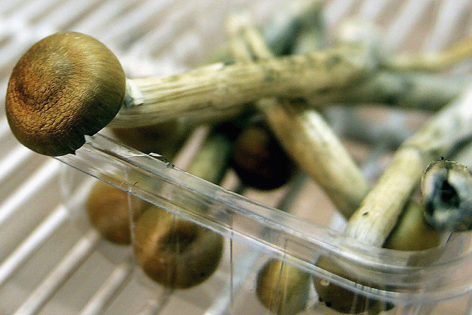 All 'illegal' drugs should be decriminalised, experts say