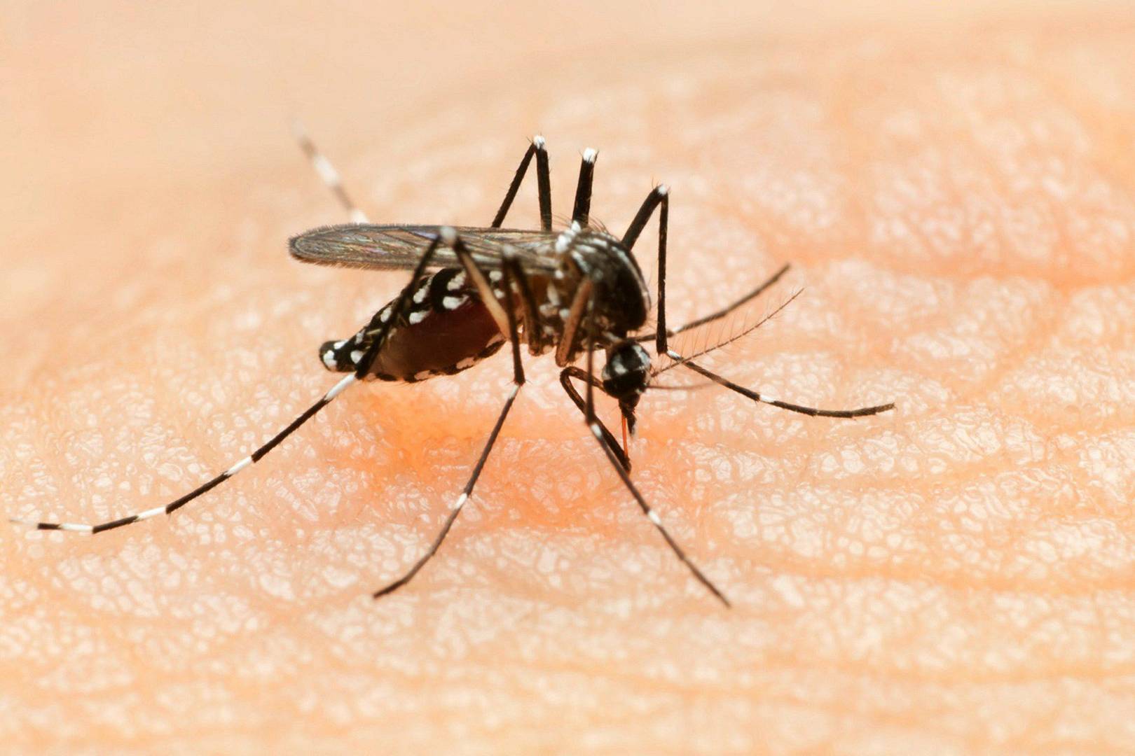 WIRED Awake: 10 must-read articles for August 30