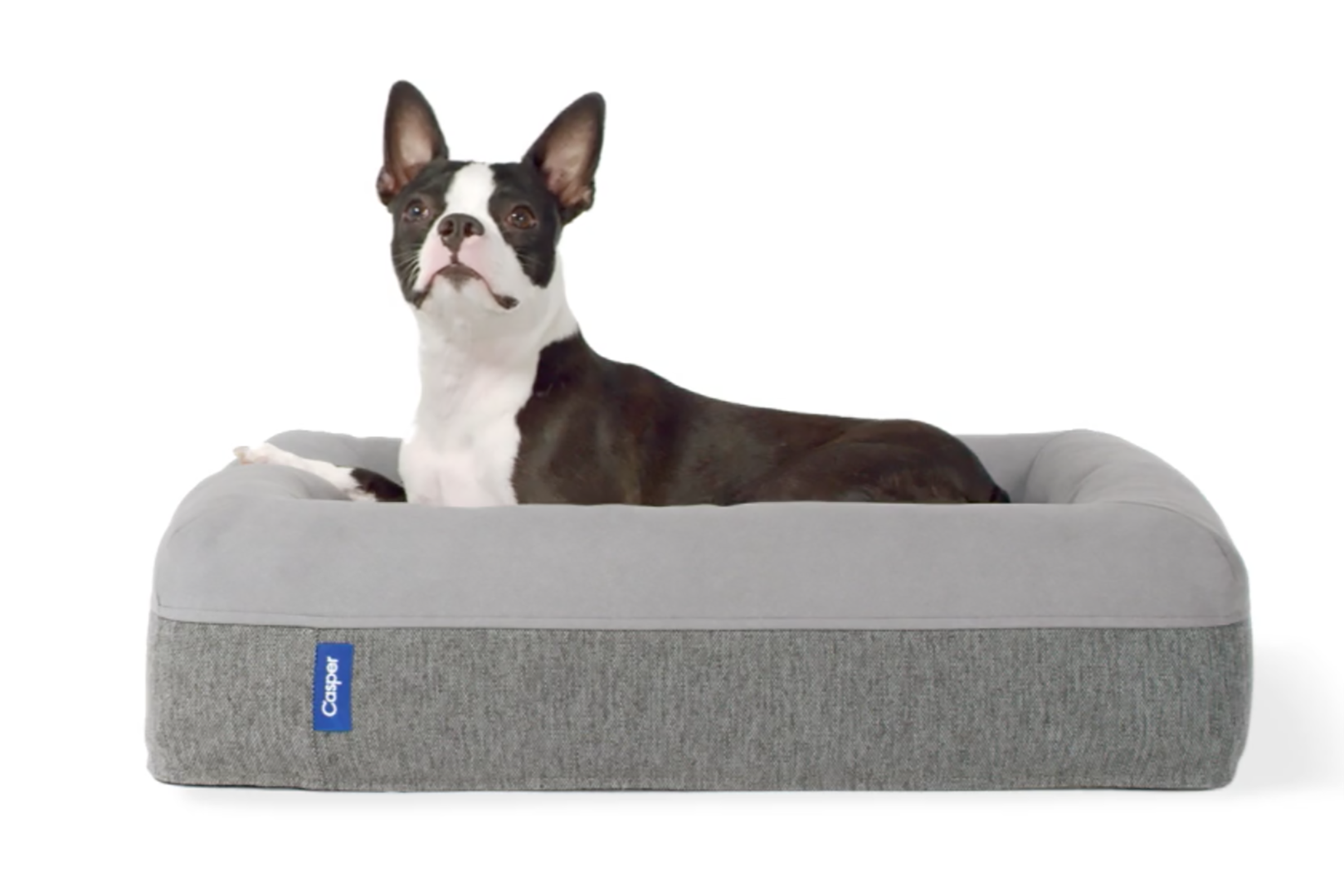 Sleep-in cinemas, Kylie Jenner and dog mattresses: how Casper is making sleep a lifestyle choice