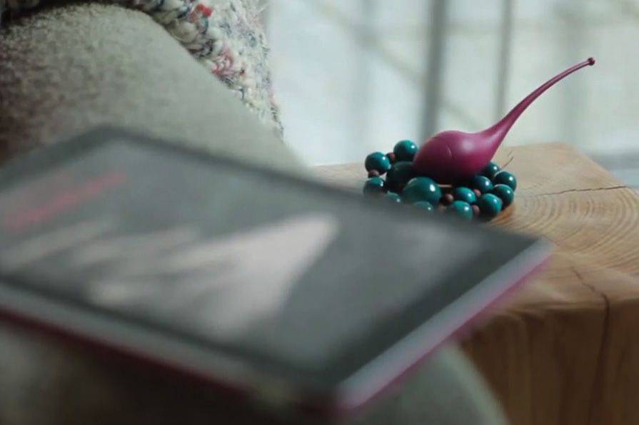 Little Bird sex toy means you'll never look at your Kindle in the same way again