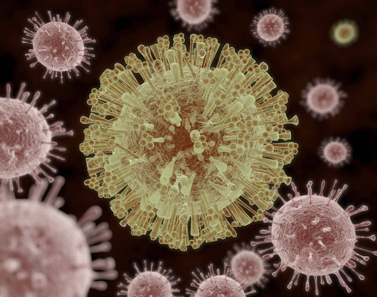 Zika 'clone' could finally lead to a vaccine for the devastating virus