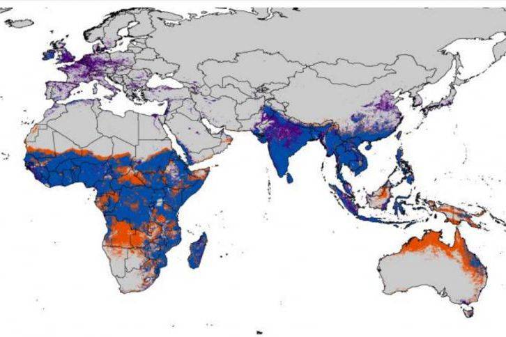 How Zika could spread around the world: Map reveals the countries most at risk