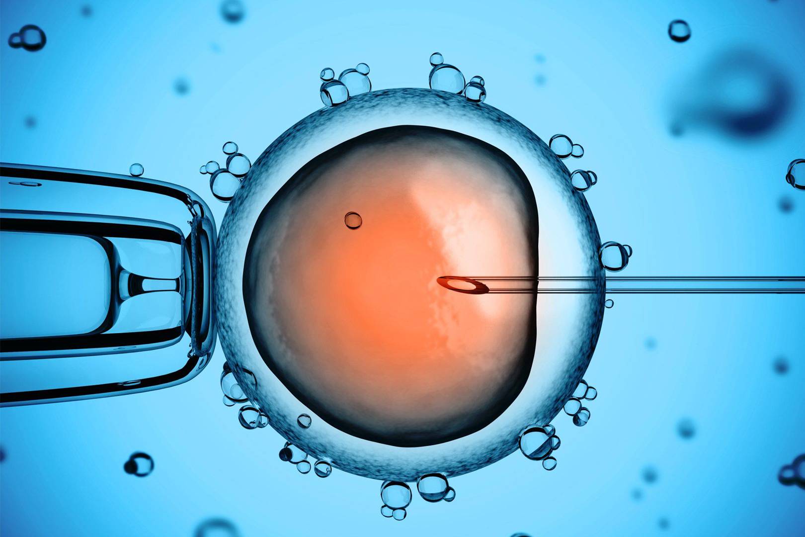US to lift a ban on part-human part-animal embryo development