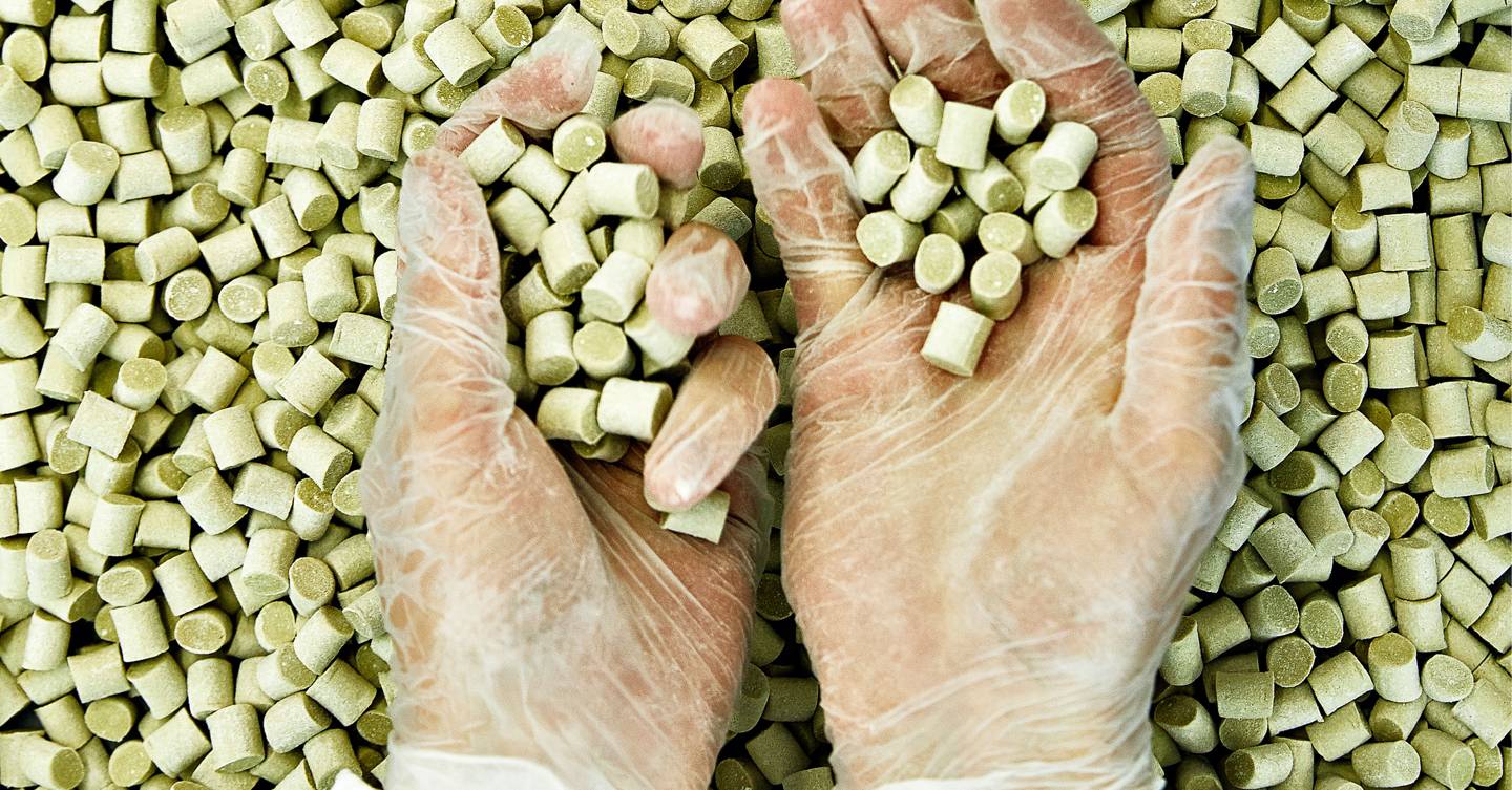Biodegradable chewing gum is here to save our pavements 1 Biodegradable chewing gum is here to save our pavements