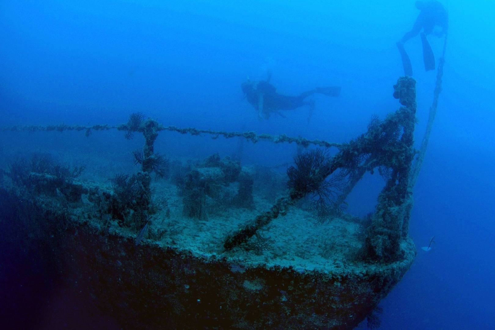 Is Apple working on a waterproof iPhone? Firm files patent for taking photos underwater