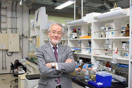 Nobel Prize for medicine goes to Yoshinori Ohsumi for his work into autophagy