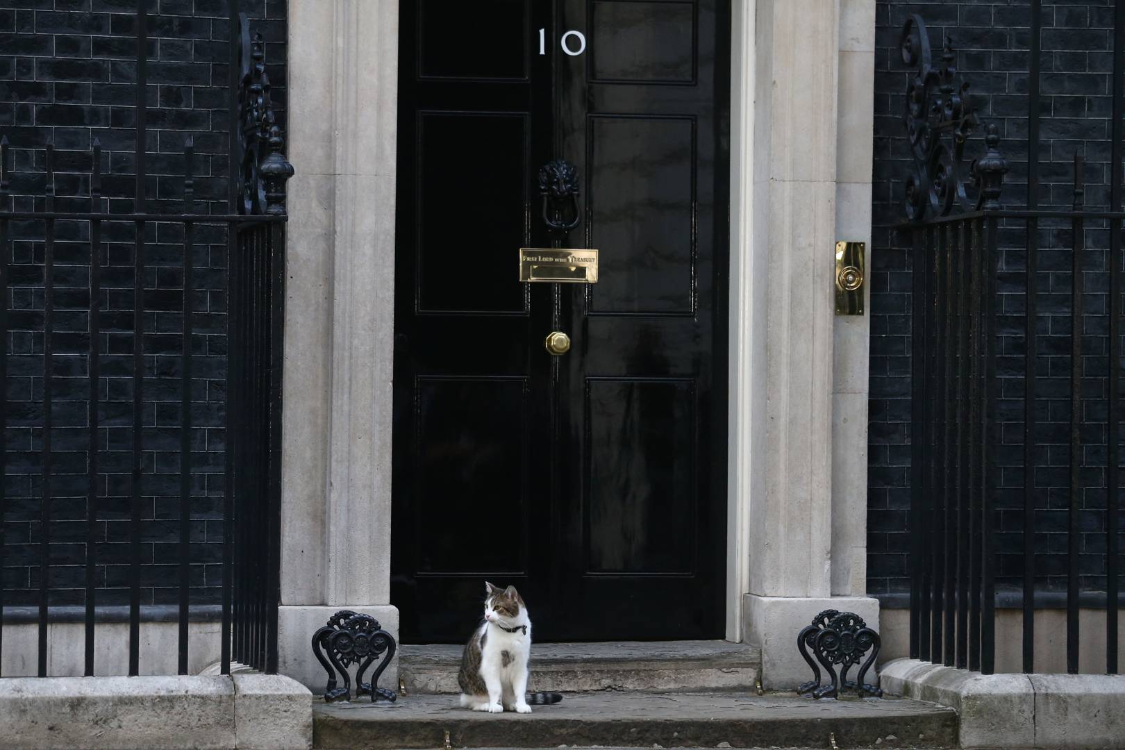 Take a virtual tour of 10 Downing Street in Google Street View