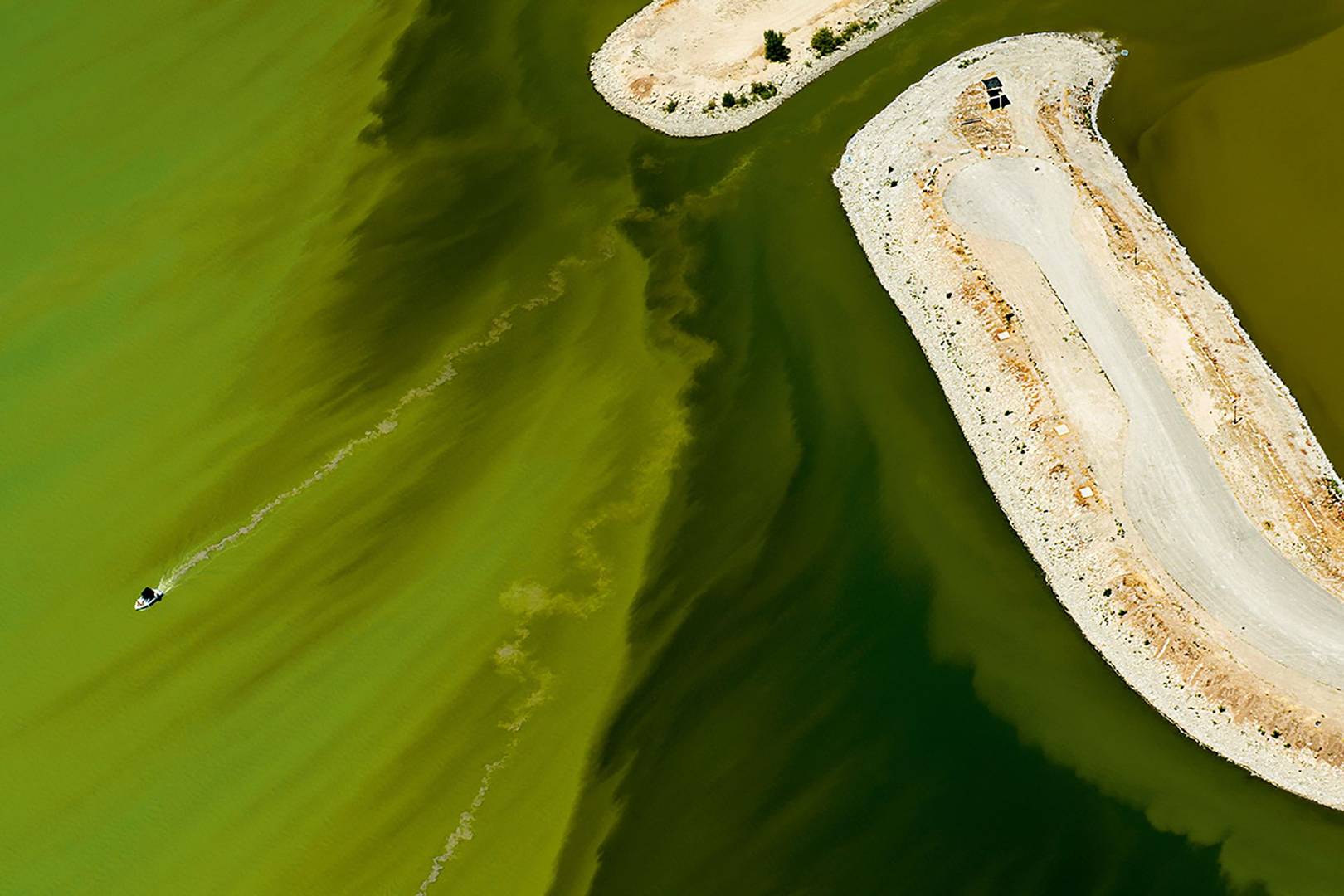 Big picture: Utah Lake's green slime attack