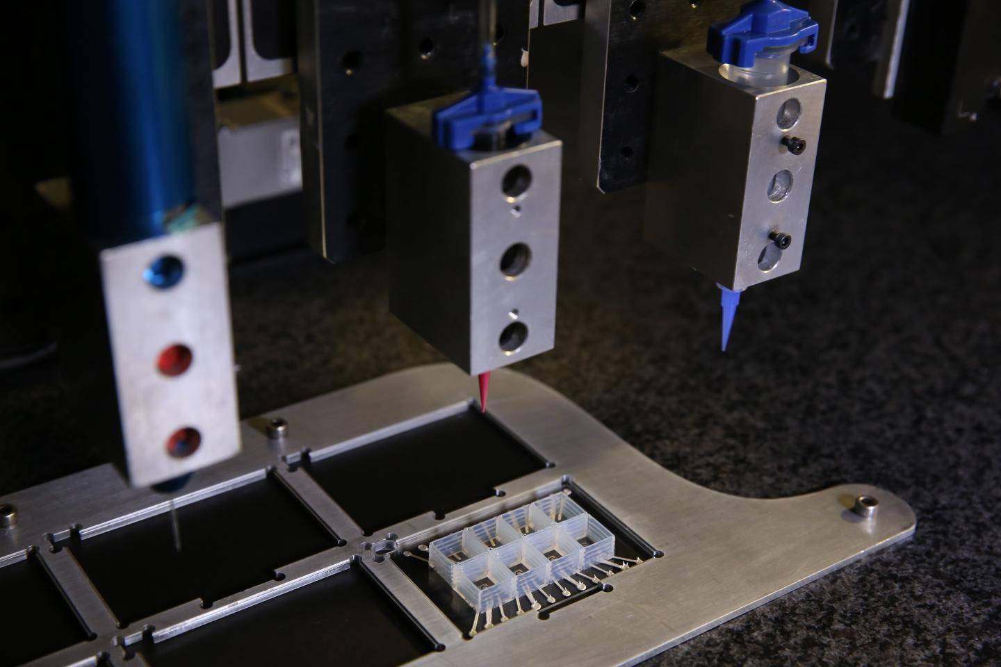 This 'heart on a chip' could finally spell the end for animal testing