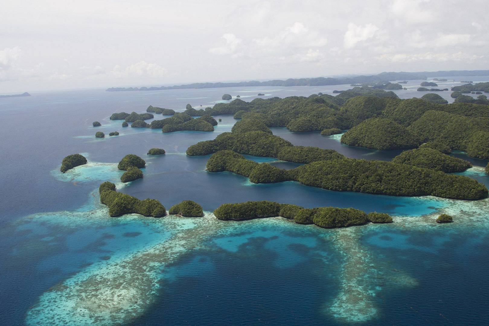 Friday briefing: Palau will ban sunscreen to save its coral reefs