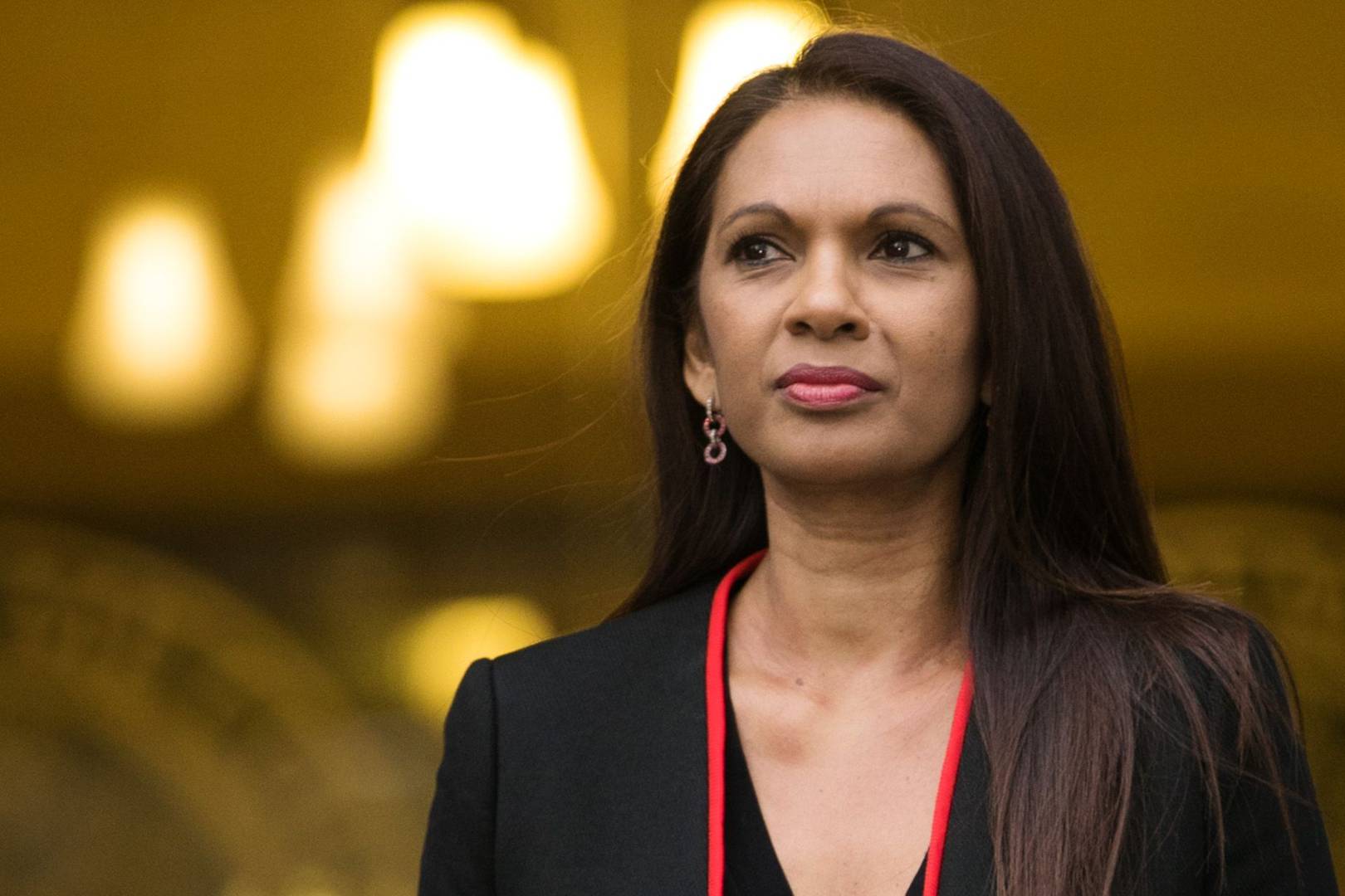 Second arrest made in the online abuse case of Brexit campaigner Gina Miller