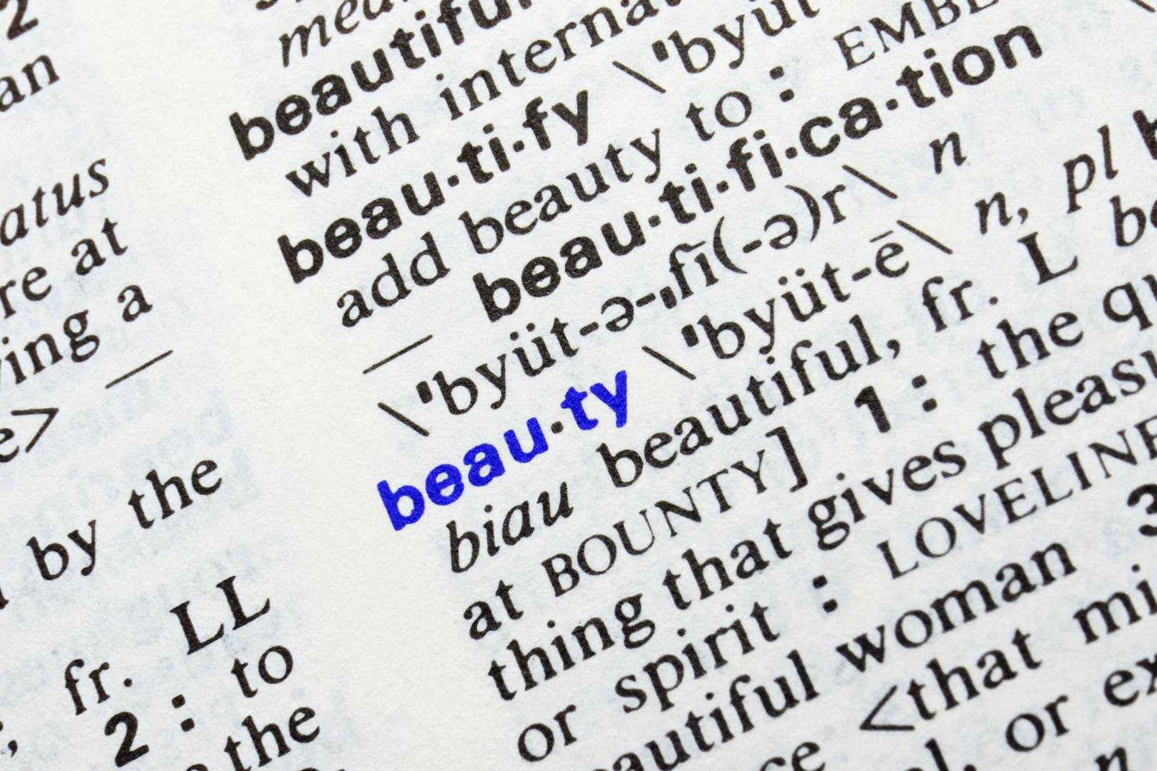 Translations from across the world prove we are united by goodness and beauty