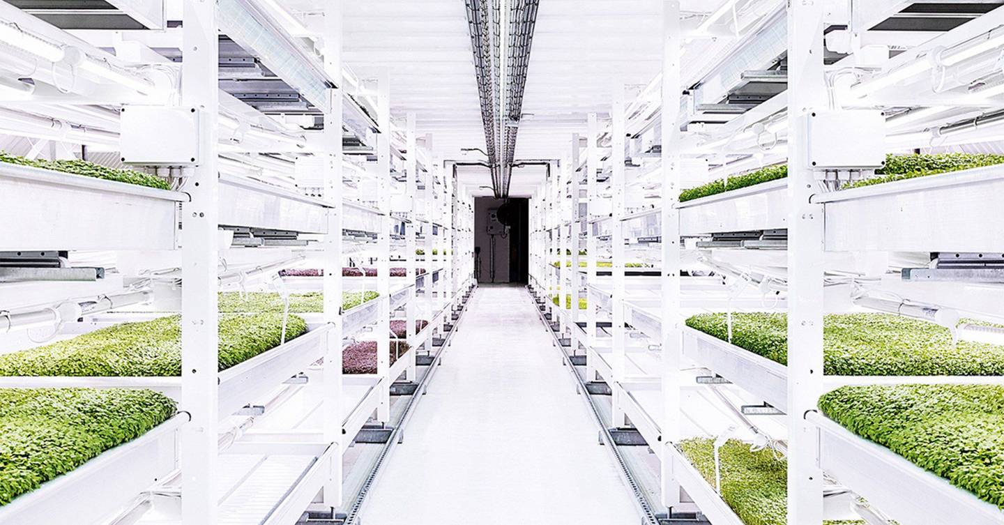This hydroponic farm is hidden 33 metres below London WIRED UK