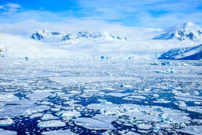 Antarctic Peninsula, Pleneau Island