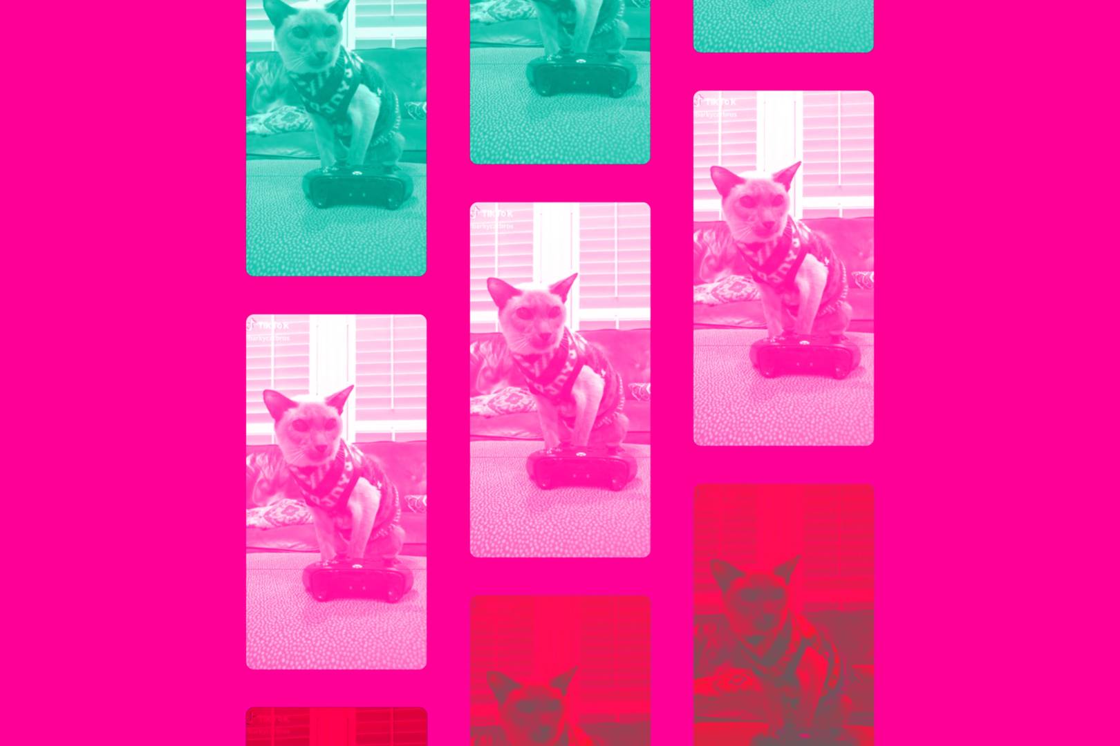 TikTok breaks all the rules of app design – but somehow it still works