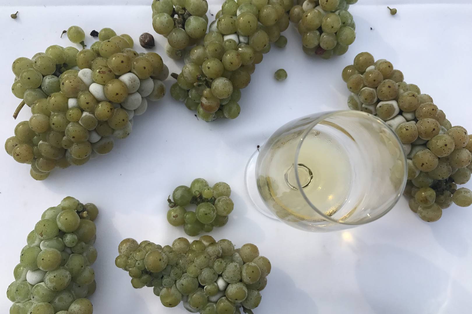 Creating the perfect storm