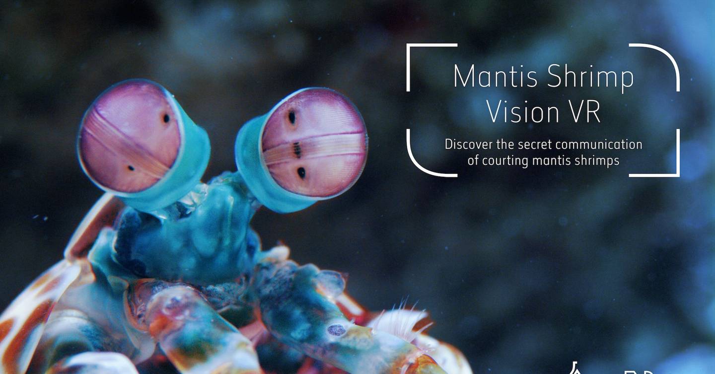 Virtual reality 'shrimp vision' experience opens at ...