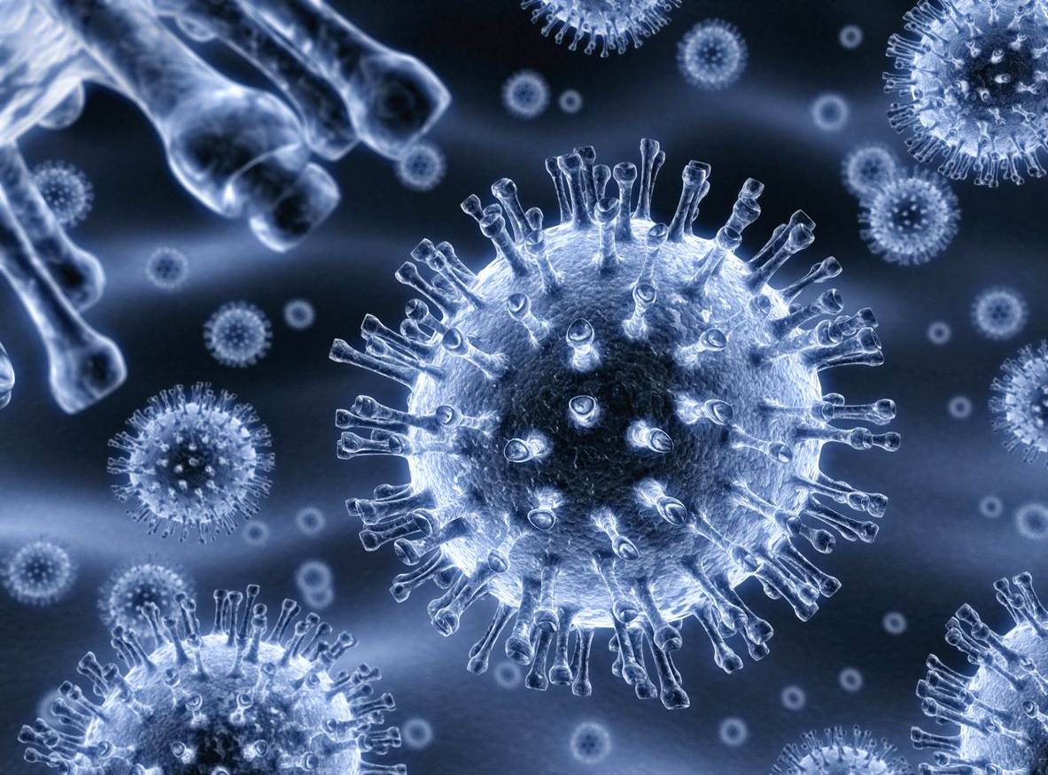 Ancient retroviruses have survived for half a billion years