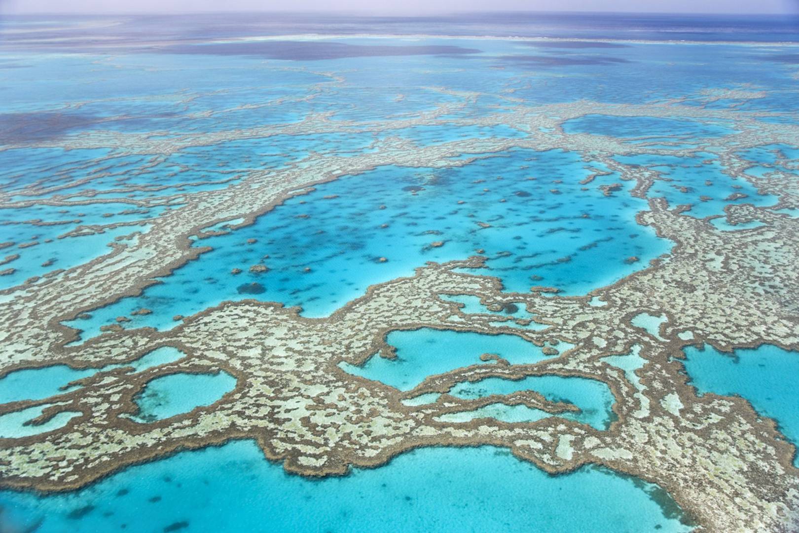 Two-thirds of Great Barrier Reef may be damaged beyond recovery