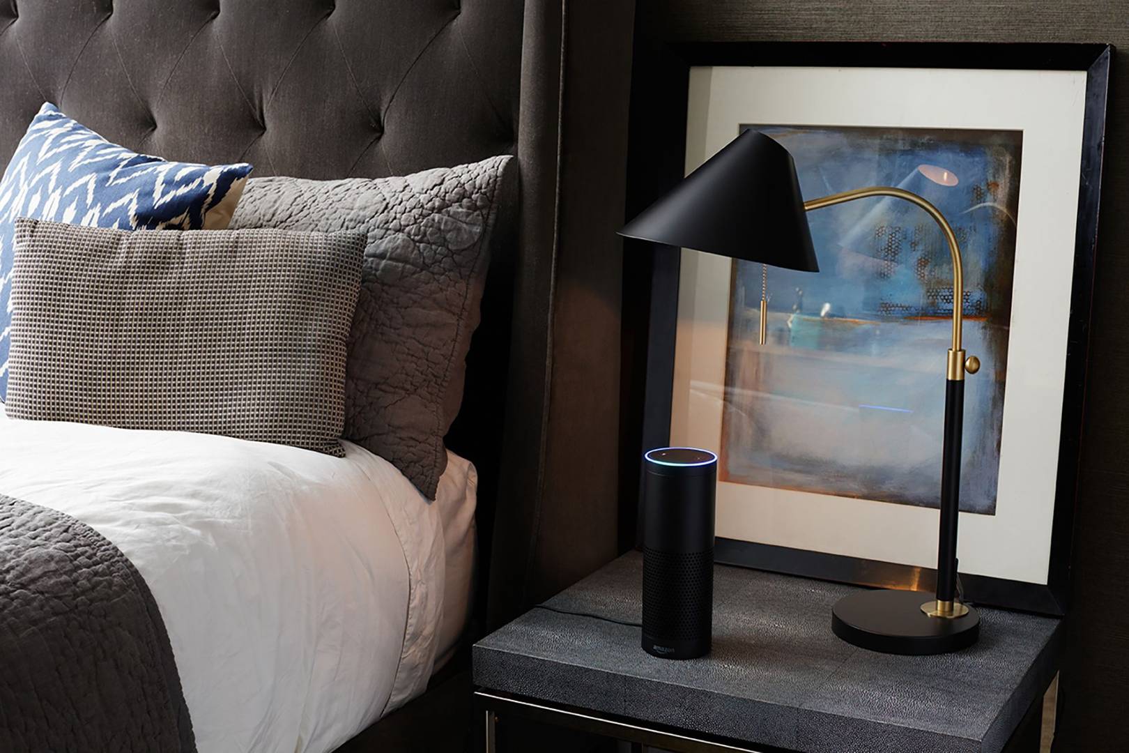 edf amazon echo