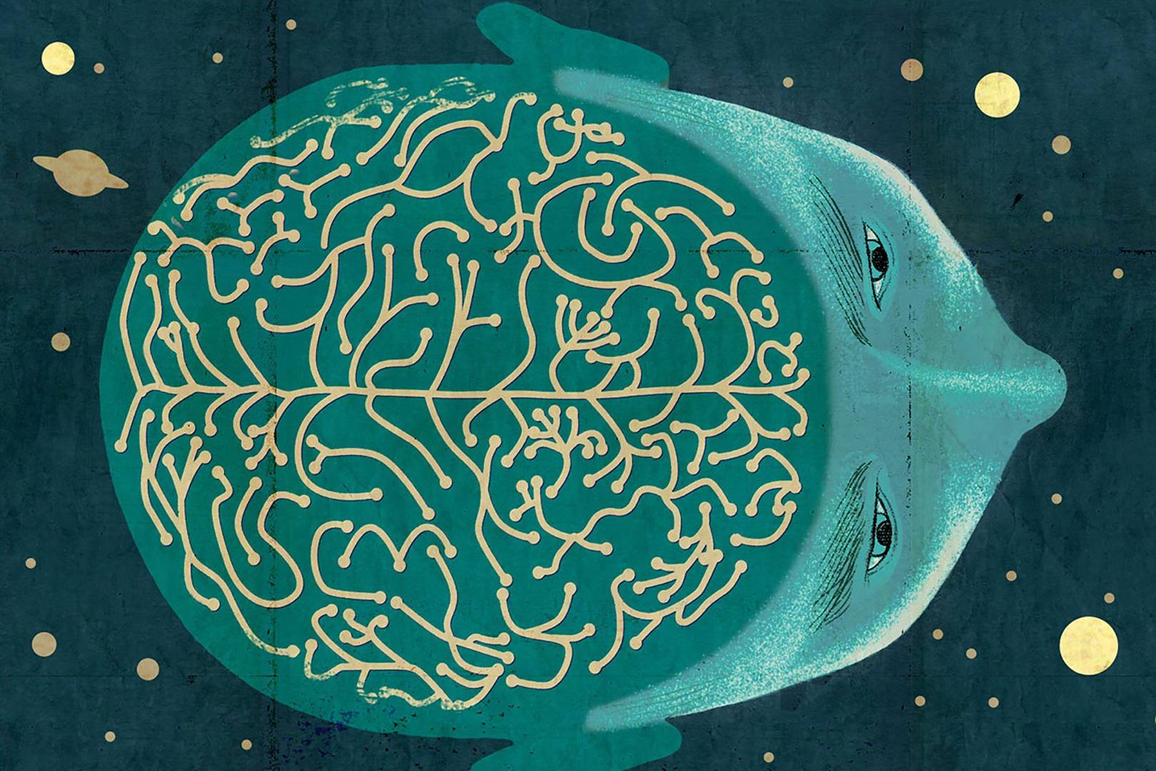 This university has no teachers, syllabus or fees