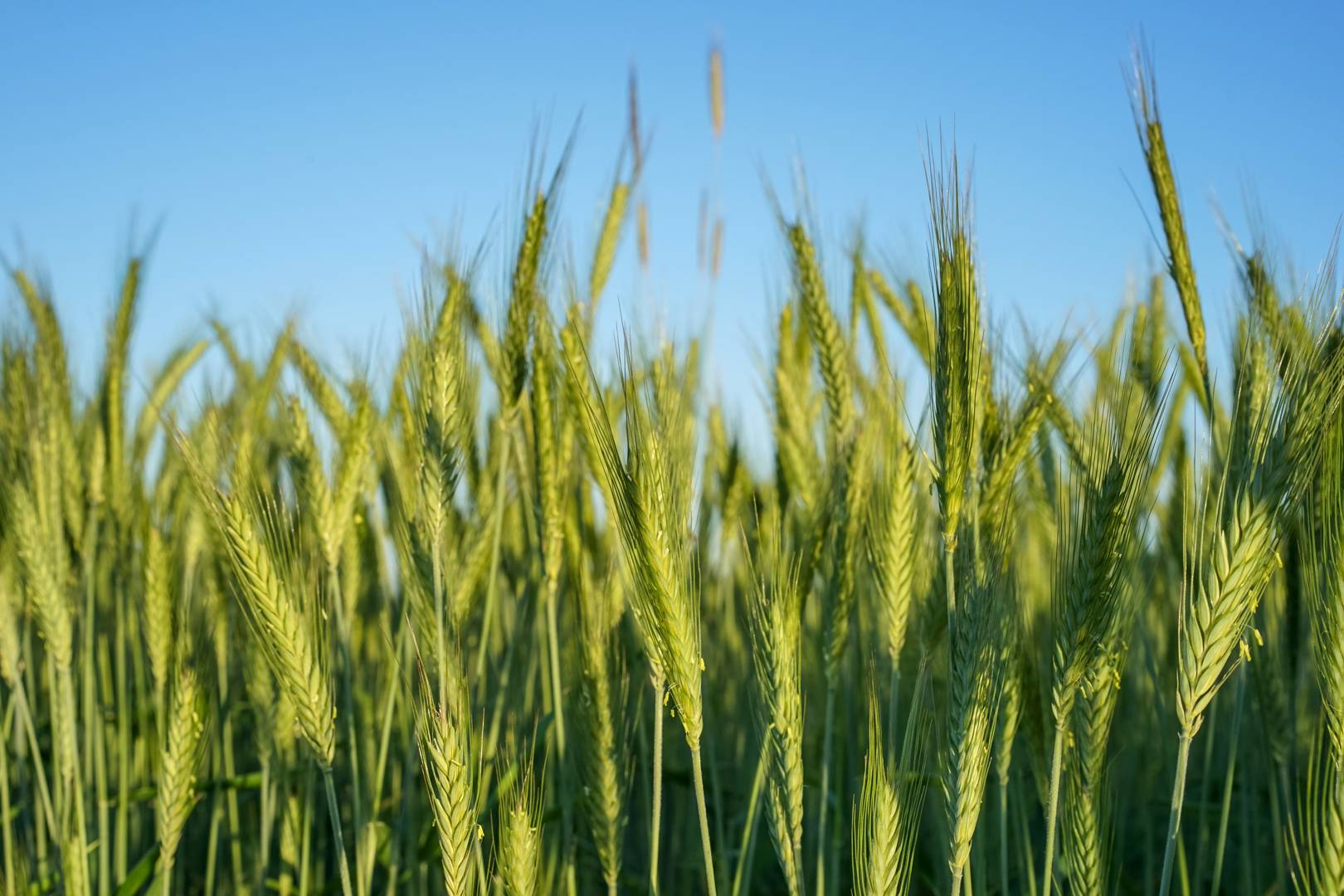 Unreasonable Impact is supporting startups solving the world's biggest social problems