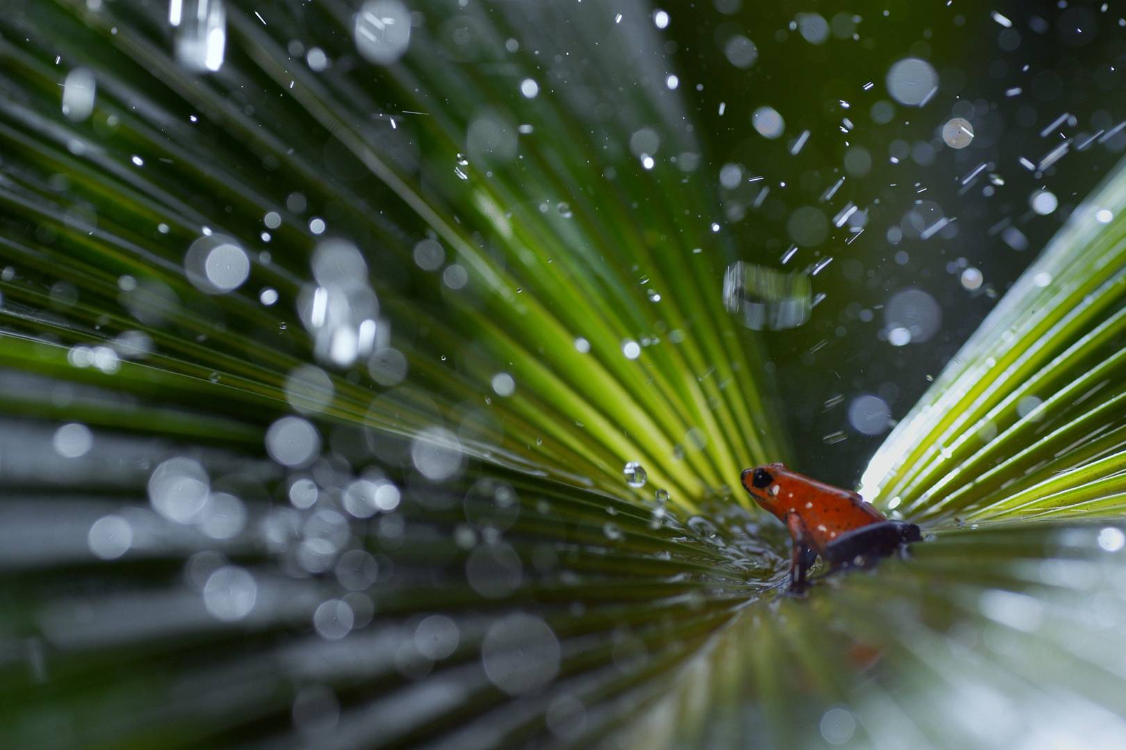 All the best Netflix series worth watching right now