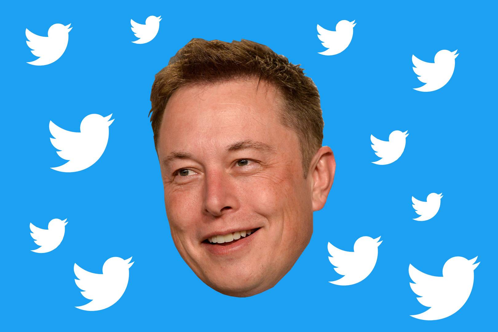 Why can't Twitter stop Elon Musk bitcoin scams? It's complicated