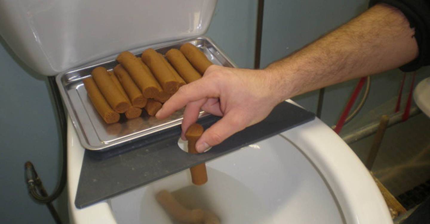 Toilet testers create fake faeces from extruded soybean paste WIRED UK
