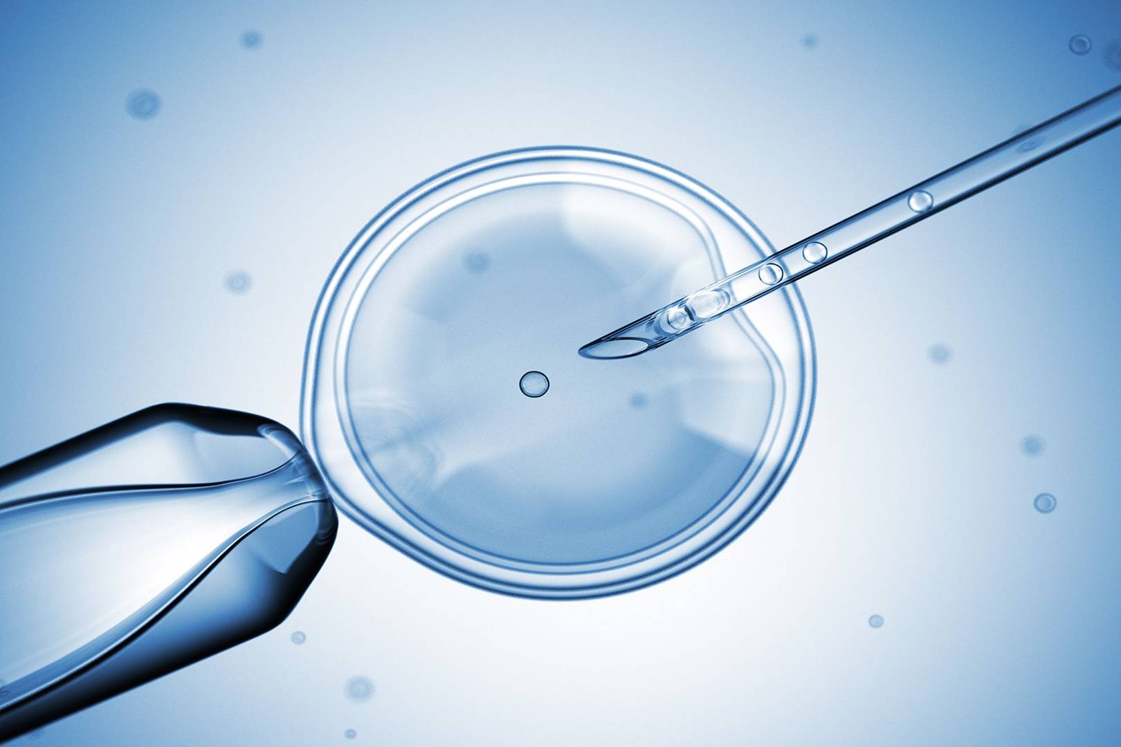 Gene mutation that causes sudden death edited out of a human embryo
