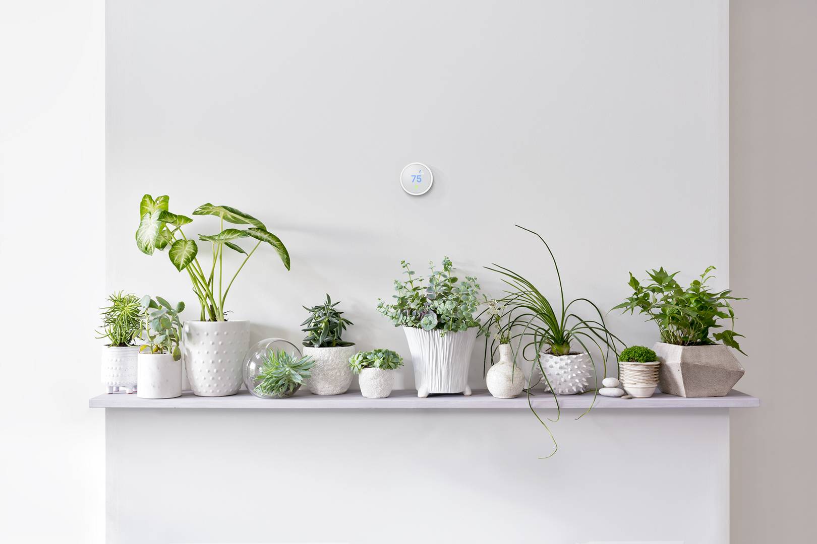 The Nest E shows all that's wrong with Google's smart home plan