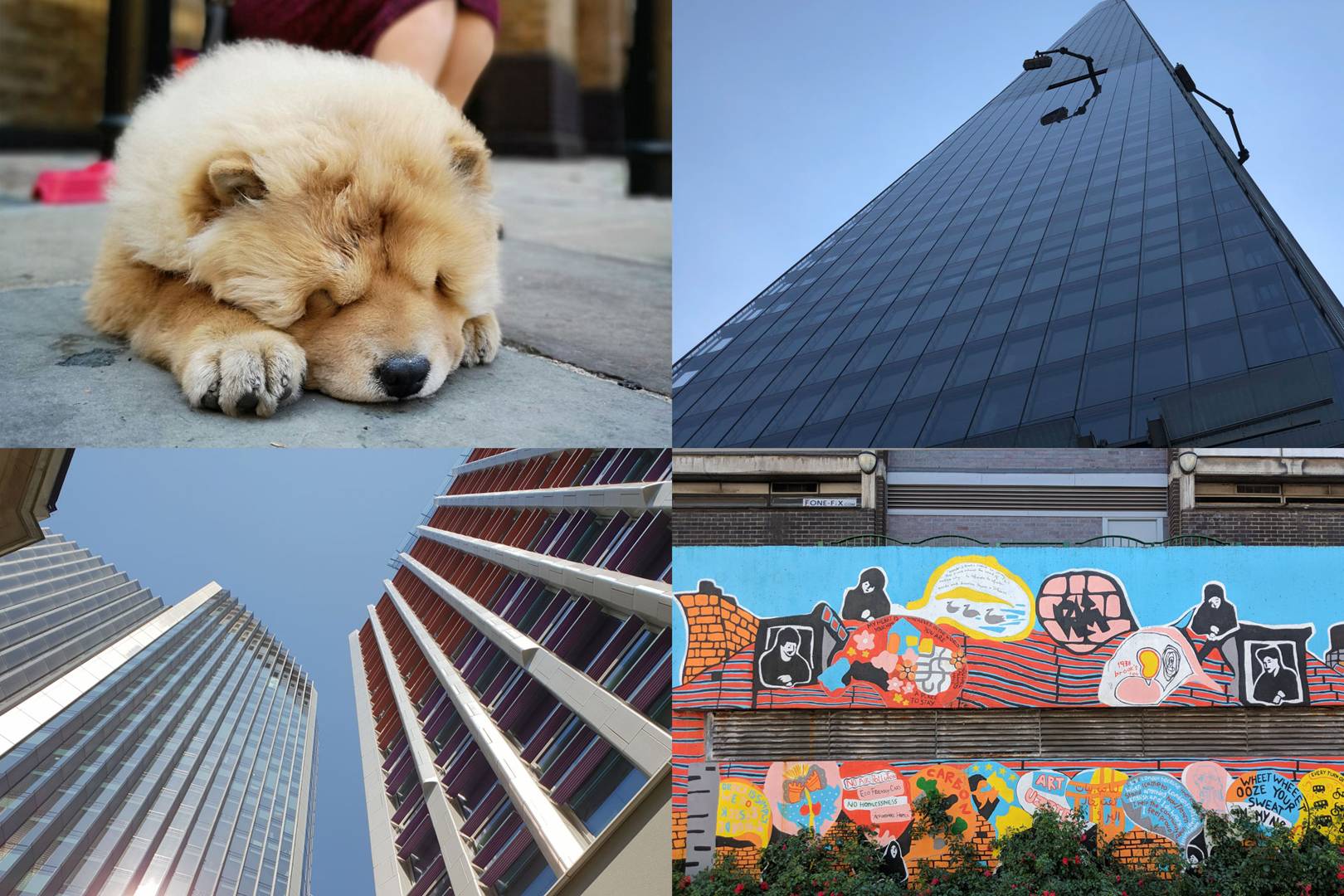 What's the best camera phone of 2018? We asked a pro to test them