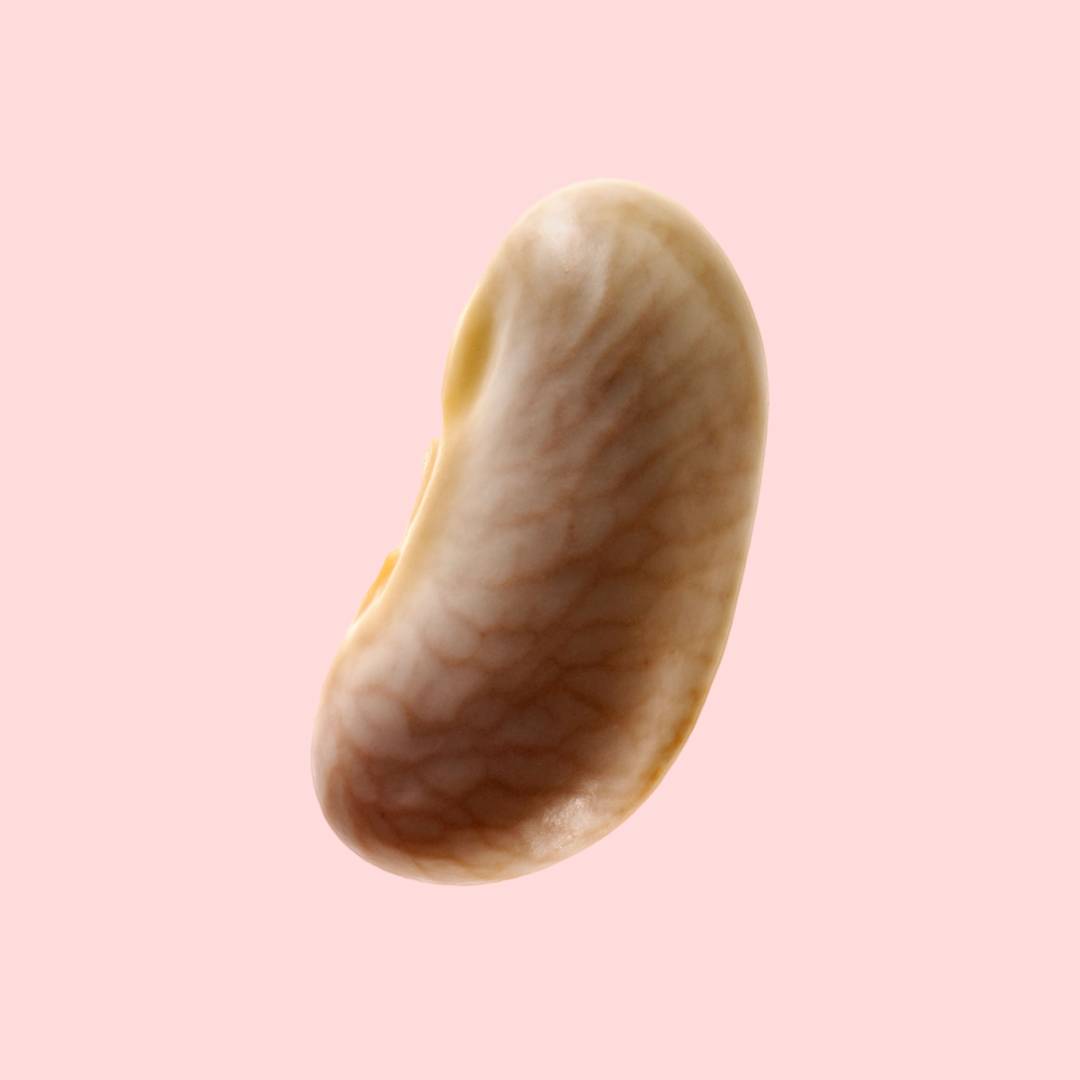 Image: 10,000-year-old beans could avert the catastrophe lurking in our food