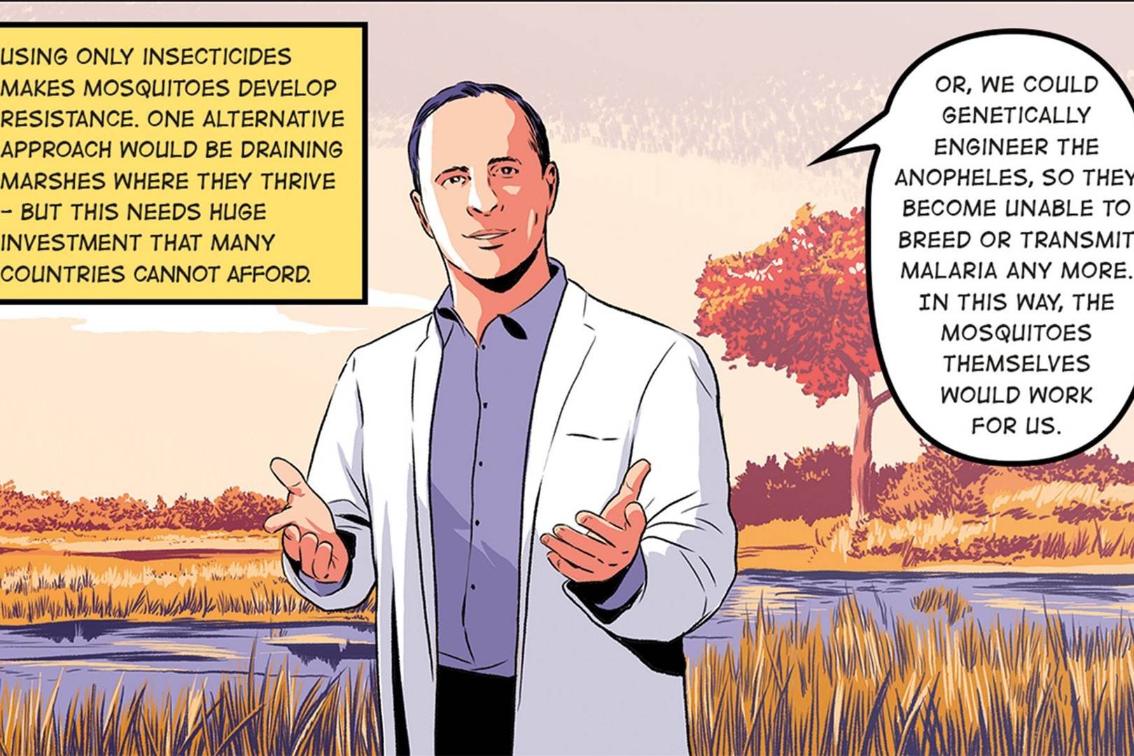 Illustrated experiment: modifying mosquitoes to save millions of lives