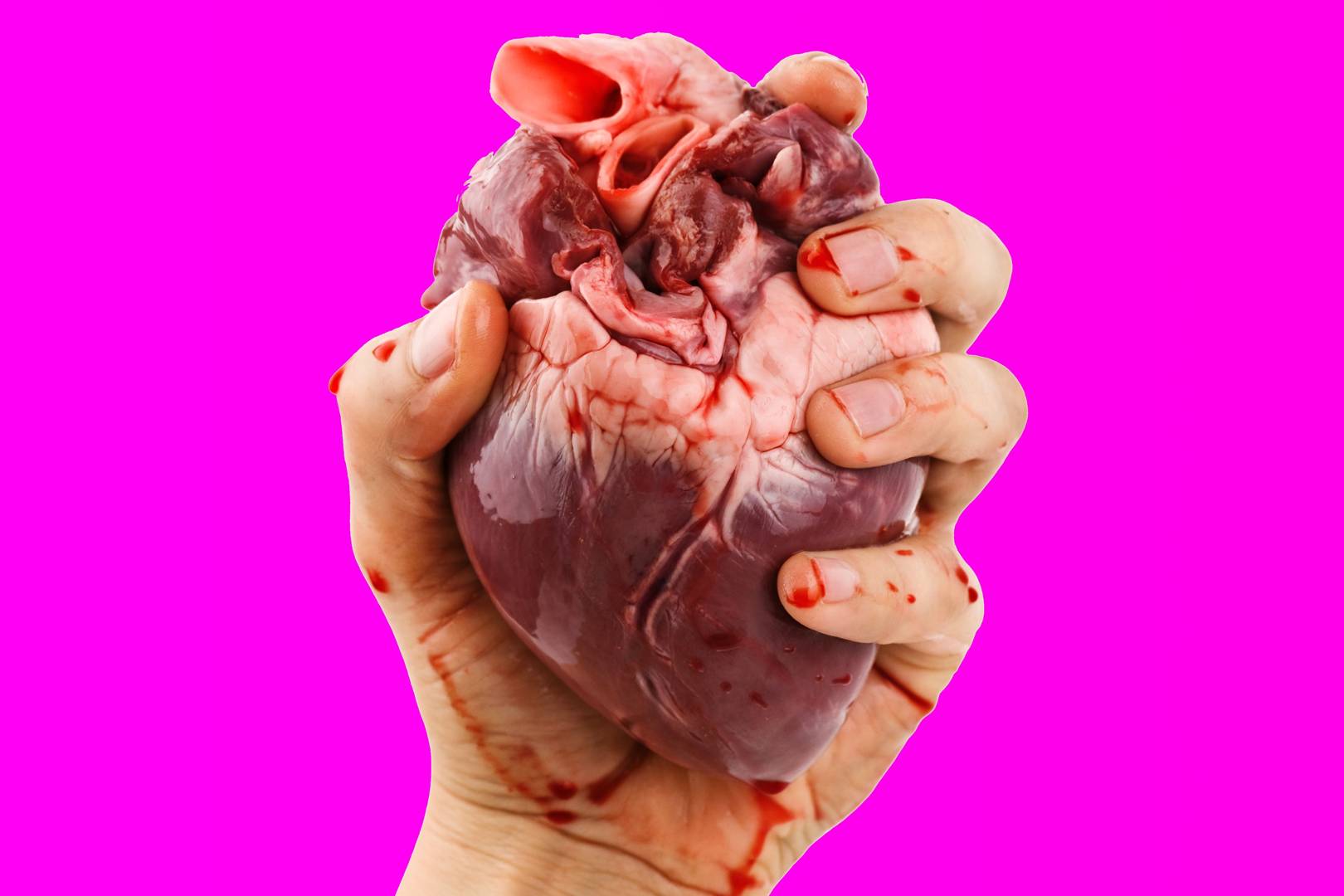 The bloody clever science behind the UK's online heart age test