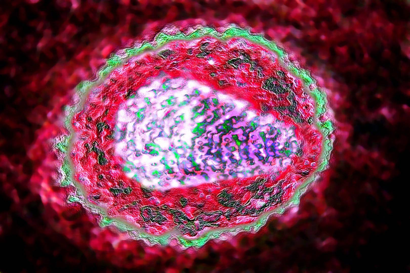 Human antibody trial adds new hope for HIV vaccine