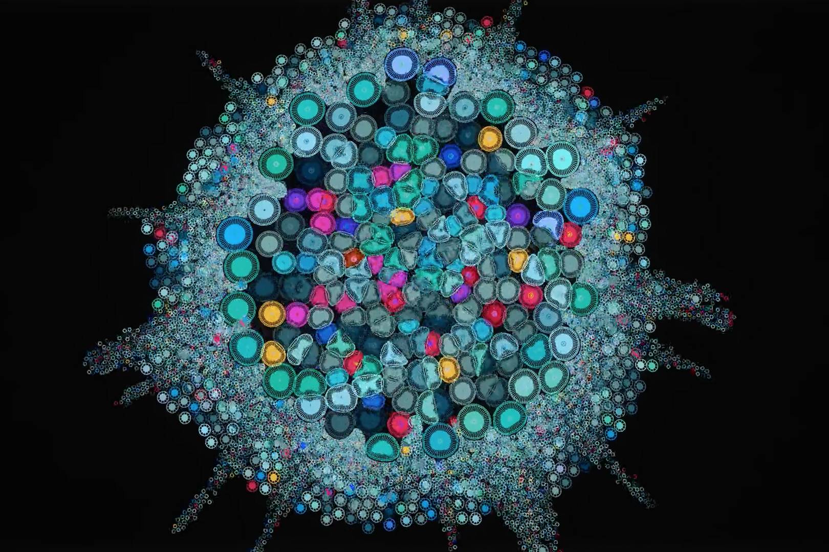 Max Cooper’s science-inspired music videos will blow your mind