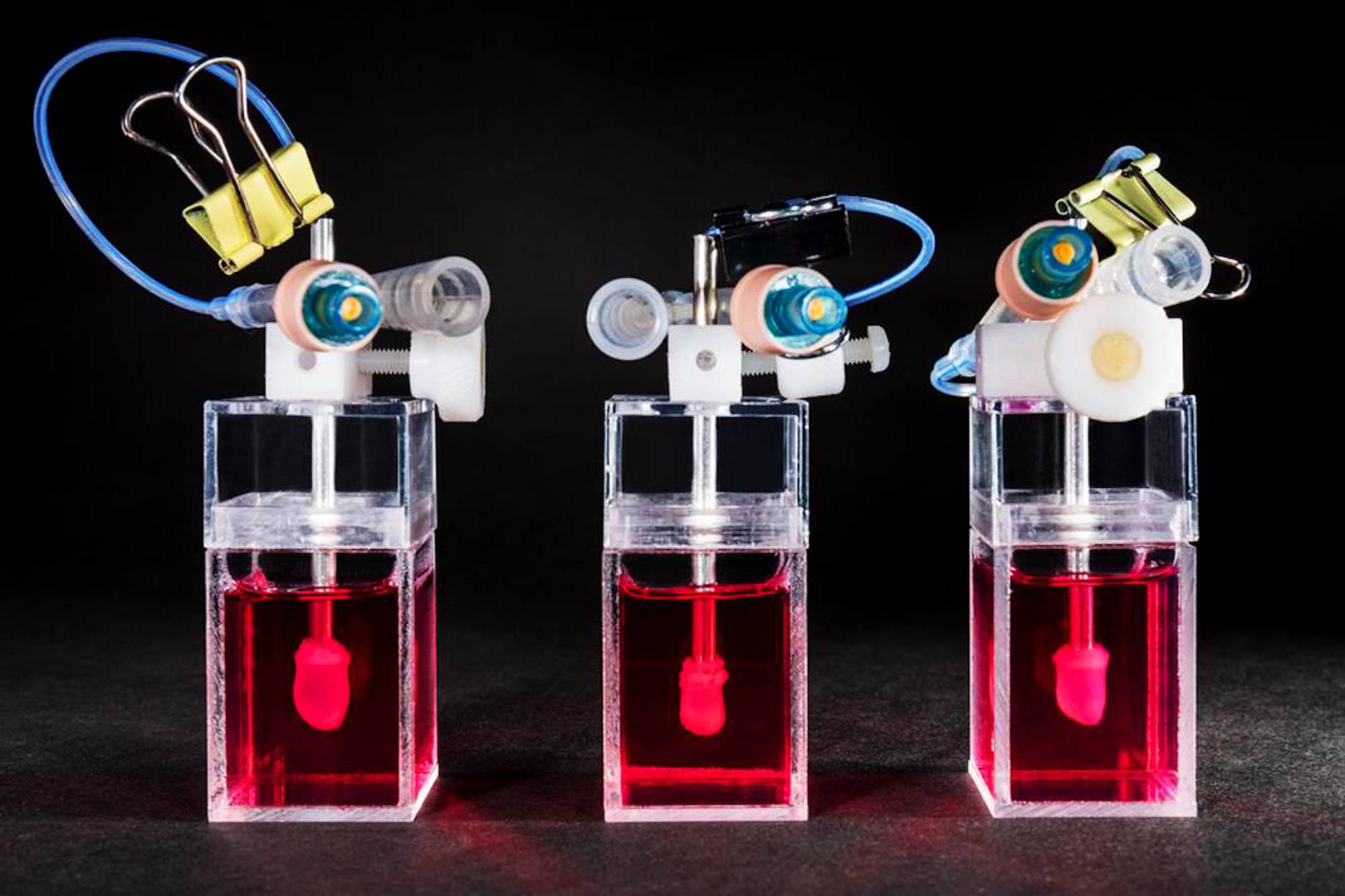 Forget animal testing. These miniature, lab-grown human hearts are making drugs safer