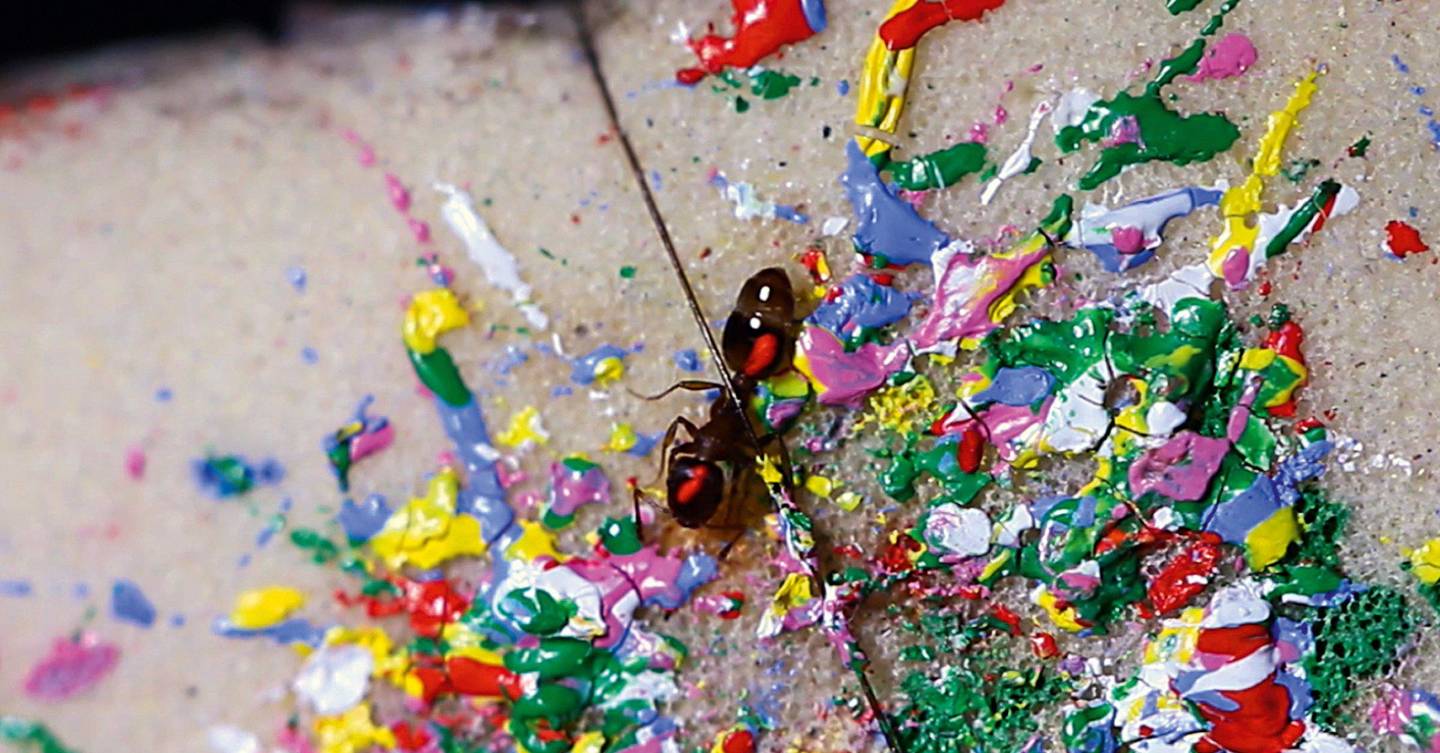 How to paint ants WIRED UK