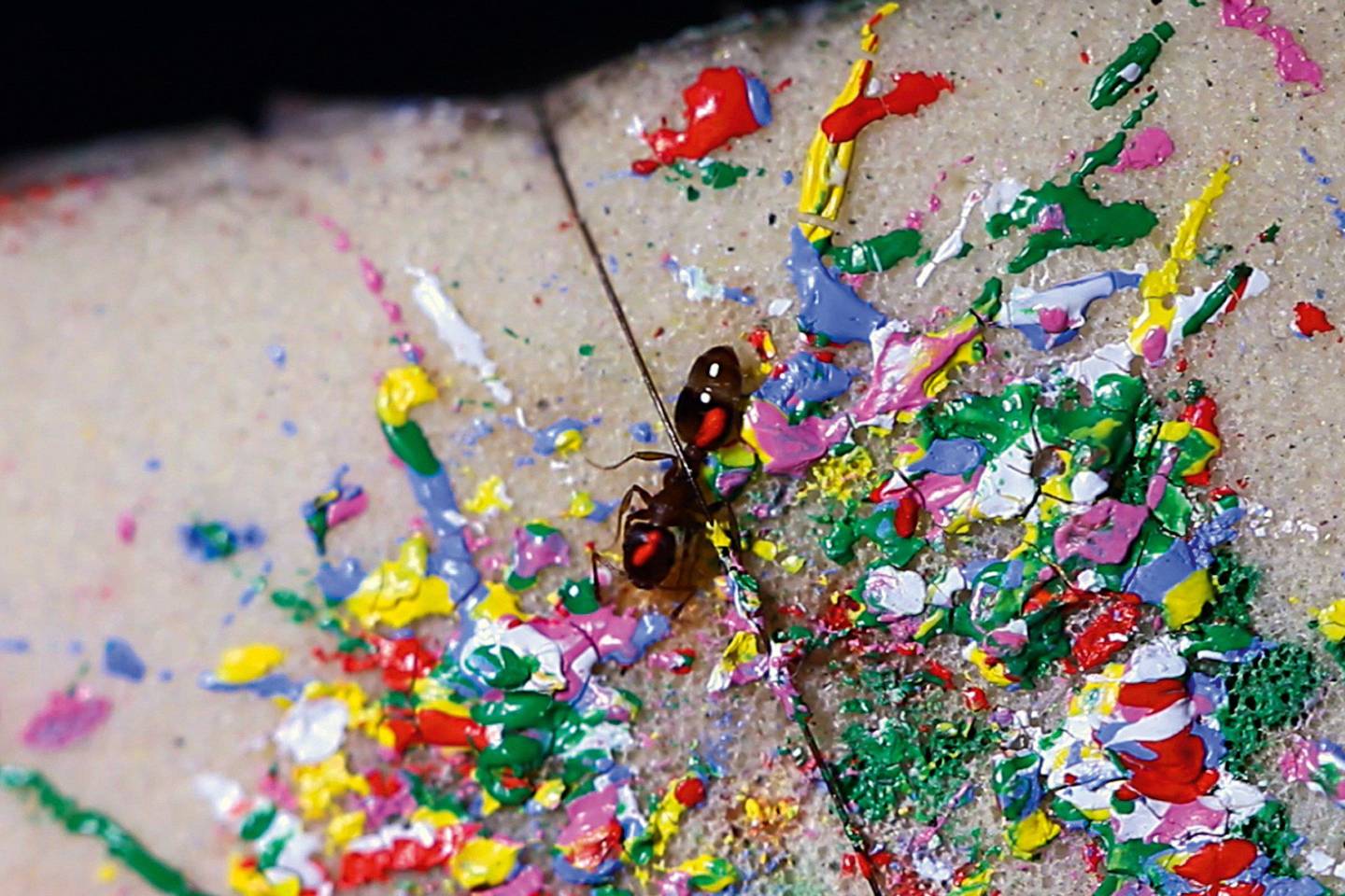 How to paint ants | WIRED UK