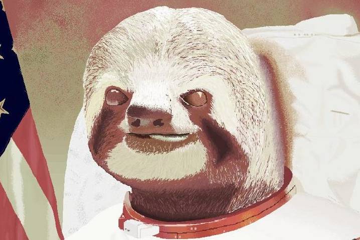 Microsoft's decided to save Paint after the internet mourned