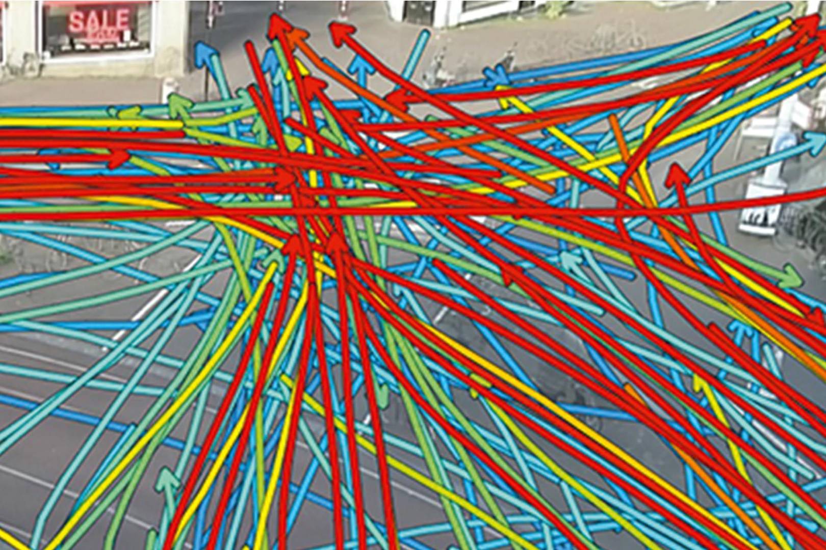 Briefcam's algorithms can spot murderers and monitor bees