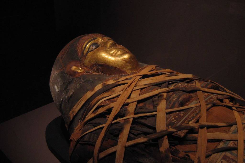 Rare mummy DNA has revealed clues about the relatives of ancient Egyptians
