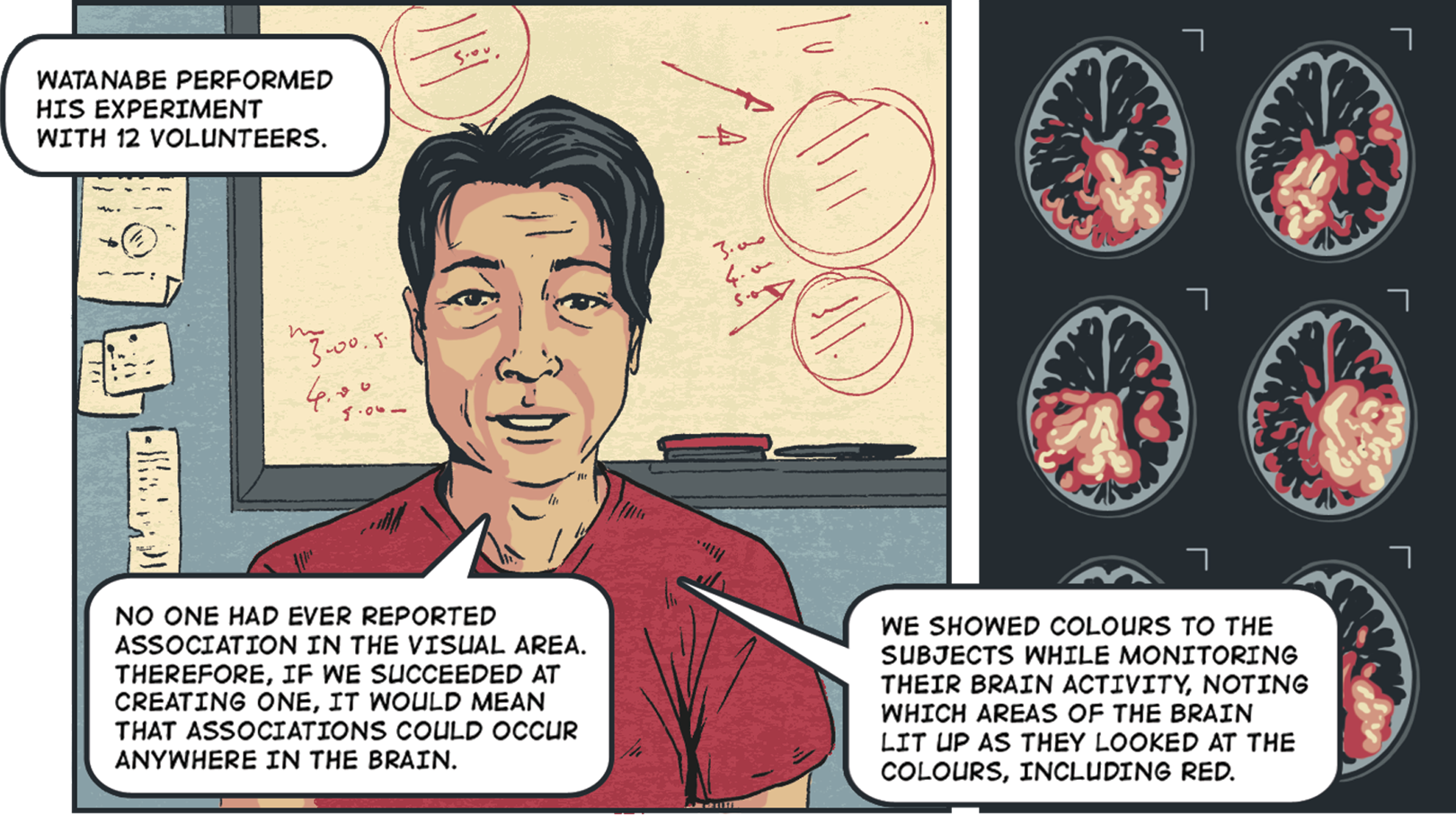 Illustrated Experiment: how 'colour inception' can rewire your brain