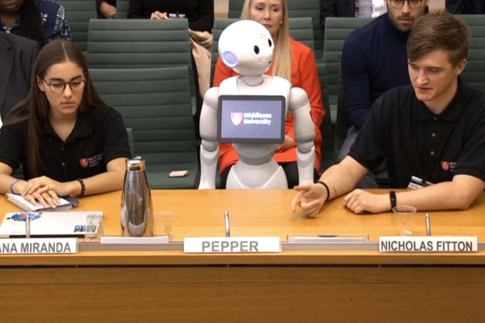 We need to have a very serious chat about Pepper's pointless parliamentary pantomime
