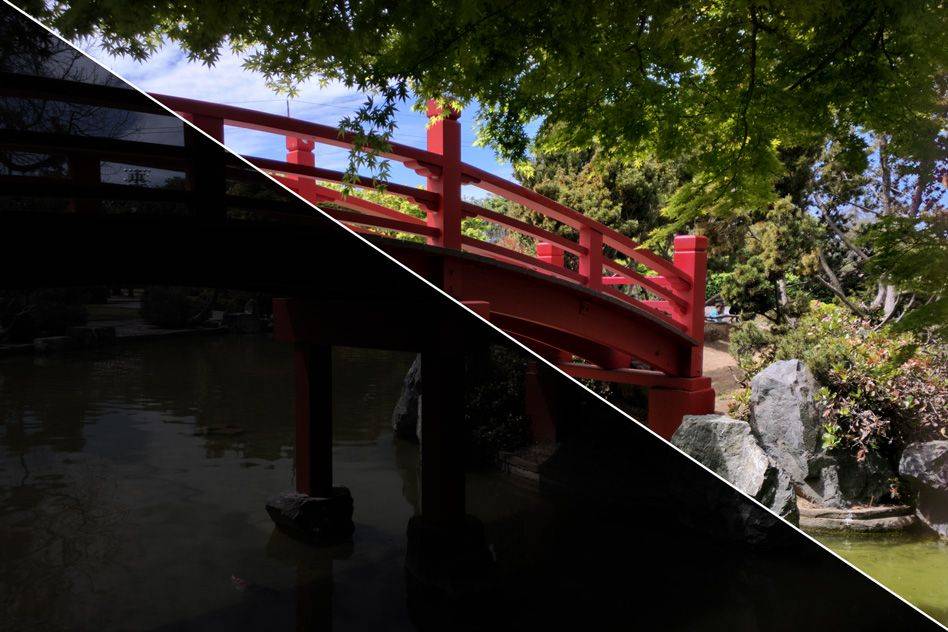 Google's new algorithm edits your photos in the blink of an eye